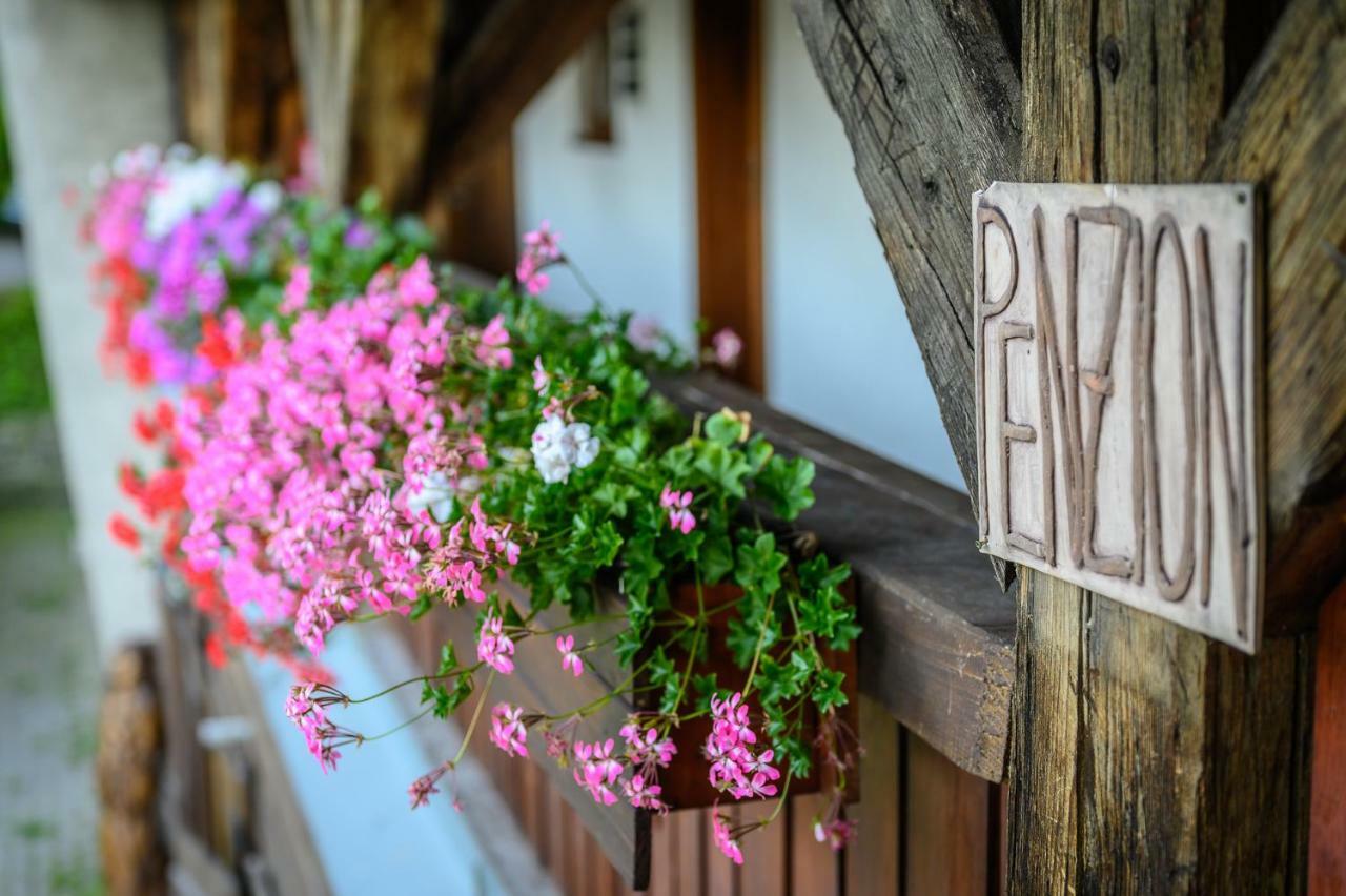 Penzion Tyra Trinec Exterior foto